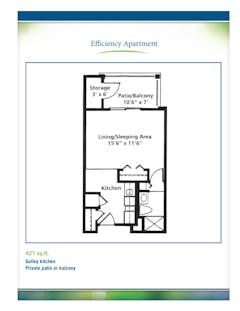 The Efficiency floorplan image