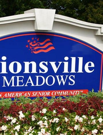 Zionsville Meadows - community